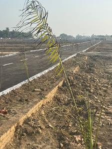 Project Image of 900.0 - 2700.0 Sq.ft Residential Plot Plot for buy in India Aasha Greens Valley