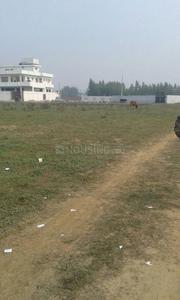 Nature Bliss Urban Homes Phase 1 Elevation 1