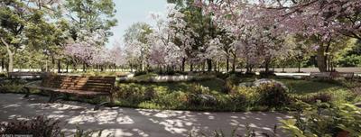 Chartered Woodpecker Amenities 4