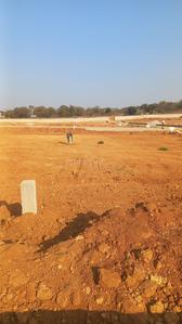 Project Image of 1319.98 - 5997.33 Sq.ft Residential Plot Plot for buy in True The Orchard