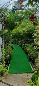 Project Image of 590.19 - 1743.75 Sq.ft Residential Plot Plot for buy in Agrawal Swarna Nagri