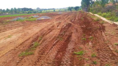 Project Image of 1200.0 - 2400.0 Sq.ft Residential Plot Plot for buy in The Address The Imperial Address Phase I