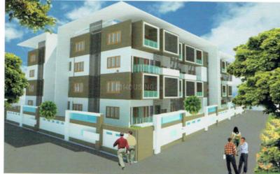 Project Images