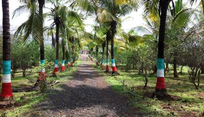 Project Image of 870.0 - 1500.0 Sq.ft Residential Plot Plot for buy in VMC Vrindavan Garden