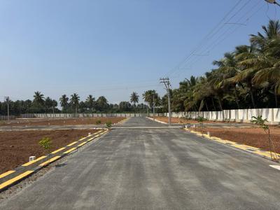 Project Images