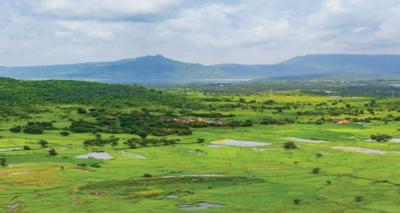 Project Image of 1200.0 - 5000.05 Sq.ft Residential Plot Plot for buy in Godrej Woodside Estate