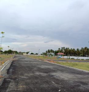 Project Images