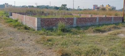 Project Image of 720.0 - 2880.0 Sq.ft Residential Plot Plot for buy in Maya Kolkata Land Complex