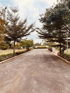 Project Image of 1410.0 - 2400.0 Sq.ft Residential Plot Plot for buy in MGS Shreela Airview Enclave