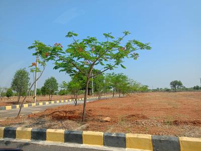 Project Image of 1323.0 - 4401.0 Sq.ft Residential Plot Plot for buy in Cosmo Celesse 
