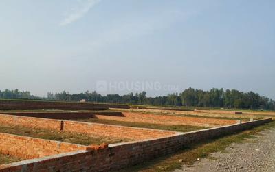 Project Image of 1000.0 - 2153.0 Sq.ft Residential Plot Plot for buy in Orchid Valley