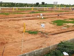 Emerald E Emerald Plot 1