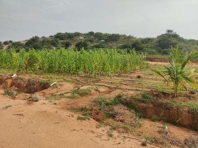 Project Image of 5000.0 - 15000.0 Sq.ft Residential Plot Plot for buy in Sanvi Sandalwood