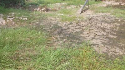 Project Image of 642.0 - 820.0 Sq.ft 2 BHK Apartment for buy in Allied Drishya