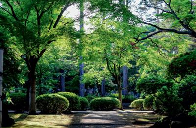Project Image of 1080.0 - 1620.0 Sq.ft Residential Plot Plot for buy in Swastik Greens