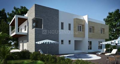 Project Images
