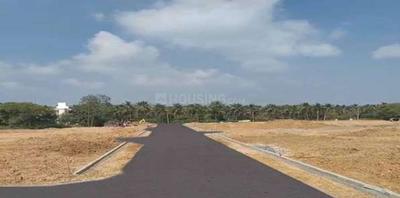 Project Image of 732.0 - 1692.0 Sq.ft Residential Plot Plot for buy in Amberland Vismaya