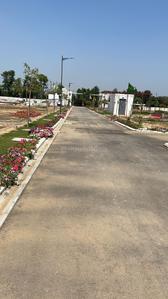 Project Image of 810.0 - 1602.0 Sq.ft Residential Plot Plot for buy in Corona Greens