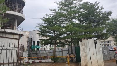 Project Image of 1190 Sq.ft 3 BHK Builder Floor for sale in Sector 44 for Rs. 13400000
