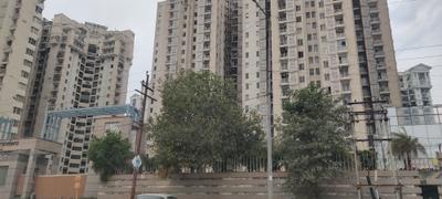 Project Image of 408 Sq.ft 1 RK Apartment / Flat for sale in Sector 168 for Rs. 3800000