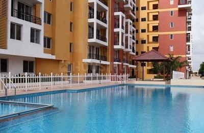 Bren SJR Brooklyn Images for Elevation of Bren SJR Brooklyn 1