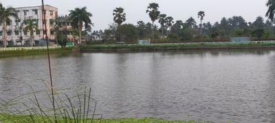Project Image of 720.0 - 2160.0 Sq.ft Residential Plot Plot for buy in South Point Rainbow Park