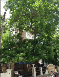 Project Image of 895.0 - 1050.0 Sq.ft 2 BHK Apartment for buy in Navins Prashanthi Nilayam