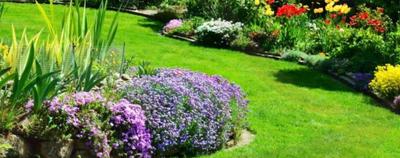 Project Image of 1850.0 - 2500.0 Sq.ft 3 BHK Apartment for buy in DLF The Valley Orchard