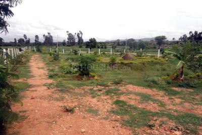 Project Image of 1200.0 - 3000.0 Sq.ft Residential Plot Plot for buy in Blue Smilee Views