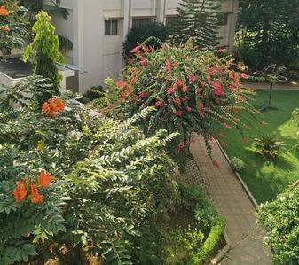 Project Image of 1000.0 - 1469.0 Sq.ft 2 BHK Apartment for buy in Ittina Abby