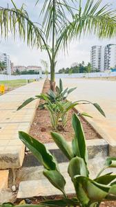 Project Image of 1110.61 - 2784.41 Sq.ft Residential Plot Plot for buy in GLM Sai Enclave