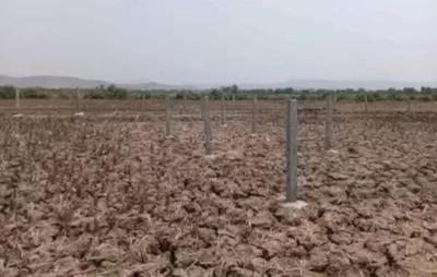 Cityprop Plot In Vindhane Plot 1