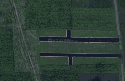 Project Images
