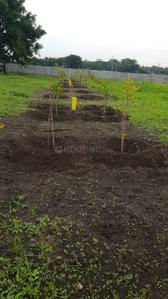 Project Image of 1350.0 - 2160.0 Sq.ft Residential Plot Plot for buy in Suven Urban Exotica