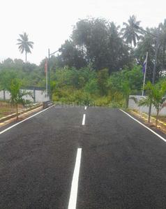 Project Images