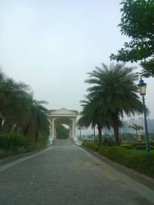 Project Image of 16000 Sq.ft Residential Plot / Land for sale in Noida Extension for Rs. 480000000
