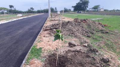 Project Image of 2205.0 - 2844.0 Sq.ft Residential Plot Plot for buy in Pragati Vision County At Thimmapur