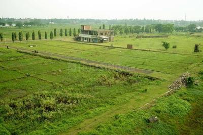 Debrupayan De Nature Plot Plot 1