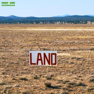Project Image of 1000.0 - 10000.0 Sq.ft Residential Plot Plot for buy in Propzone Plots In Punade
