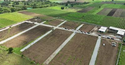 Project Image of 2178.0 - 21780.0 Sq.ft Residential Plot Plot for buy in Green Rich