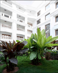 Project Image of 3270.0 - 4550.0 Sq.ft 3 BHK Apartment for buy in Legacy Casero