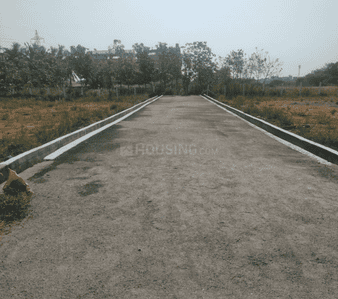 Project Images