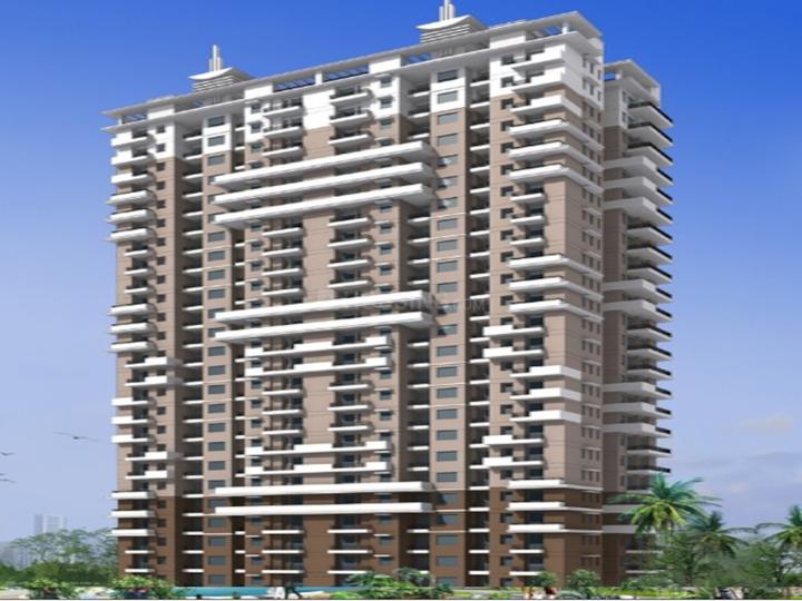 Sampada Livia - Image 3