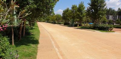 Project Image of 1200.0 - 2400.0 Sq.ft Residential Plot Plot for buy in Address Classic Bulwark Village Plot