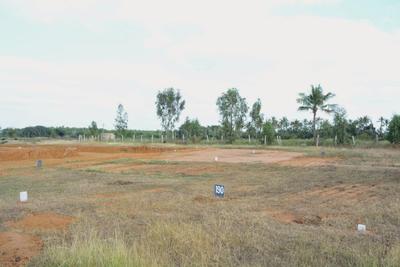 Project Image of 1200.0 - 4000.0 Sq.ft Residential Plot Plot for buy in Golden Serenity