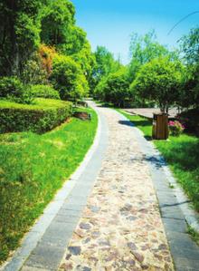 Project Image of 371.79 - 573.83 Sq.ft 1 BHK Apartment for buy in Bhumi Imperial