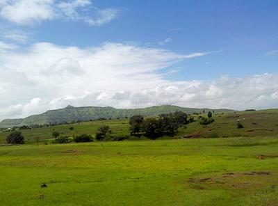 Project Image of 1867.0 - 5845.0 Sq.ft Residential Plot Plot for buy in Landscapes Nisargsrishti