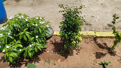 Prabha Resorts Amenities 1