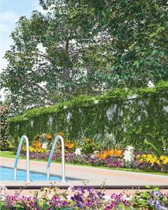 Project Image of 2430.0 - 4980.0 Sq.ft 3 BHK Apartment for buy in Golden Homestead