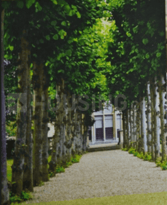 Project Image of 366.0 - 1077.0 Sq.ft 1 BHK Apartment for buy in Arbanique City
